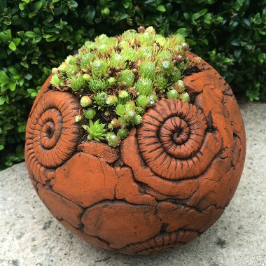 Gartenkugel mit Hauswurz