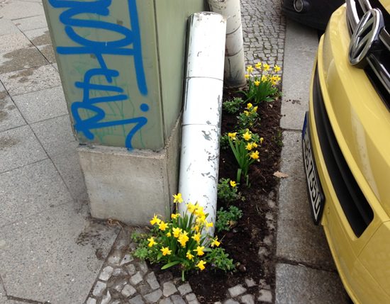 Guerlilla Gardening in Berlin 2013
