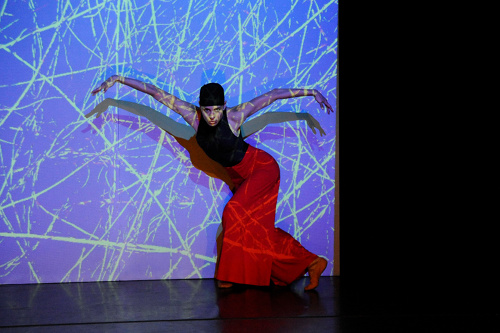 Gefühle im Bild – Ballett Fotos von Heidi Innmann im Theater Hof.