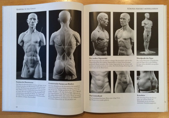 Körper perfekt modellieren – Band 1