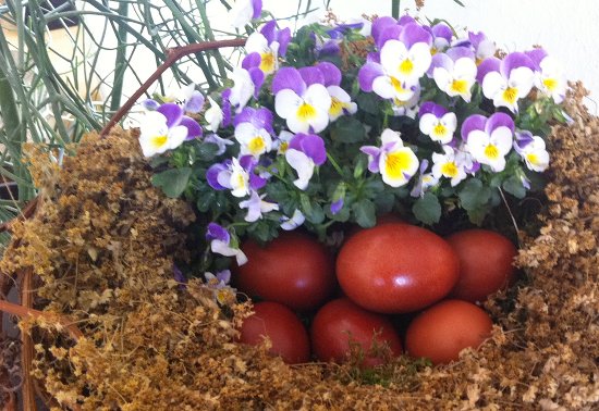 Frohe Ostern allerseits!