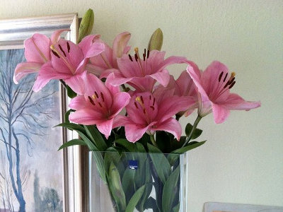 Mein Blumen-Stillleben: Thema mit Variationen