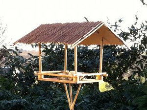 Vogelhaus im Garten am Vogelheerd