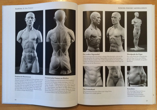 Körper perfekt modellieren - Anatomie des Köpers